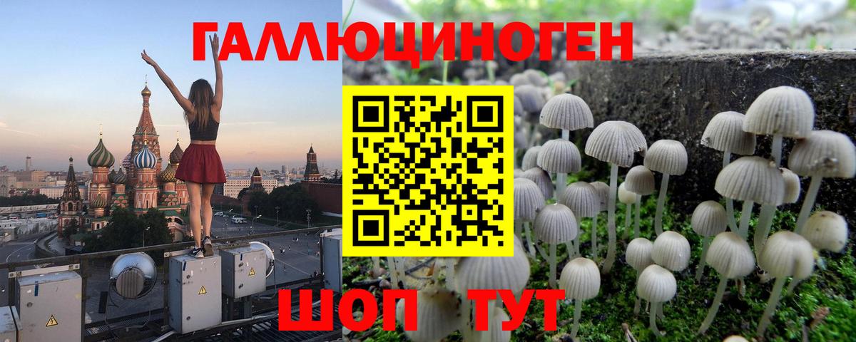 Псилоцибиновые грибы ЛСД Славянск-на-Кубани