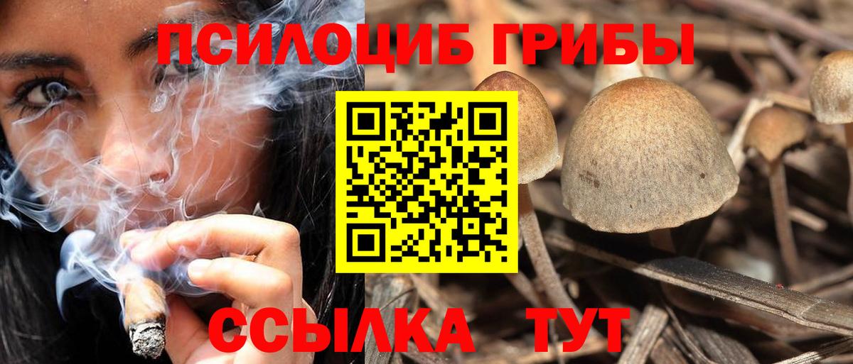 Славянск-на-Кубани  Галлюциногенные грибы MAGIC MUSHROOMS  Вход с VPN  Галлюциногенные грибы ЛСД 